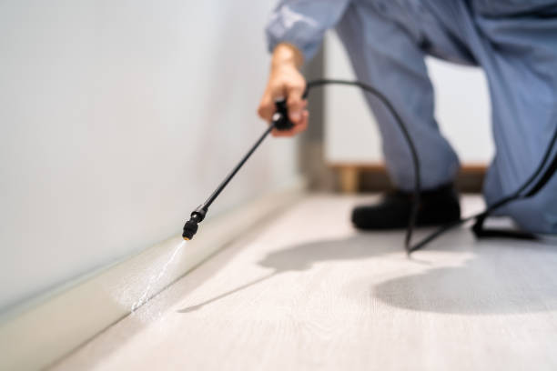 Licensed Fumigation Services service in Sanders County County, MT - Nex Pest Control